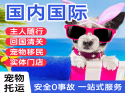 西昌航空托运国际宠物托运 【国